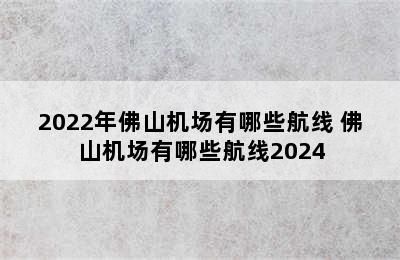 2022年佛山机场有哪些航线 佛山机场有哪些航线2024